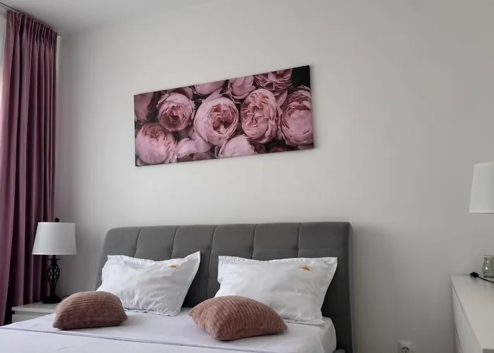 One Militari Daire *